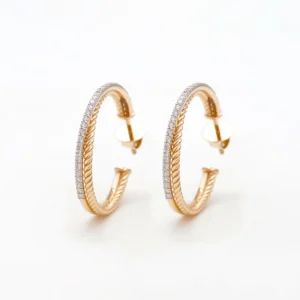 Corda Hoops Earrings